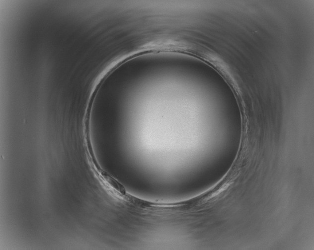 X0000072921344200607211051