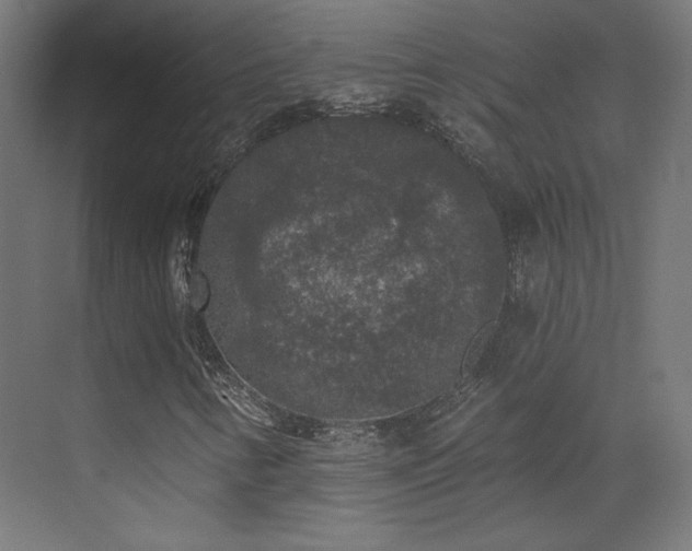 X0000072921346200607211050