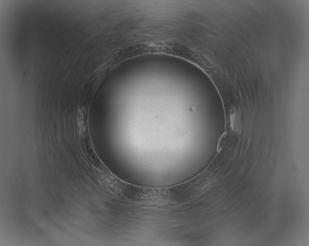 X0000072921347200607211050