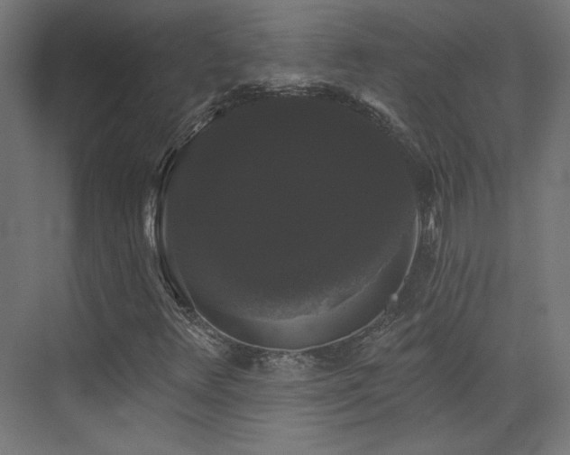 X0000072921348200607211050