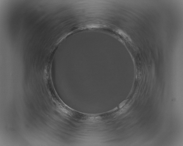 X0000072921353200607211050