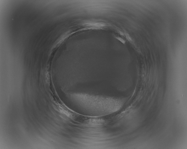 X0000072921354200607211050