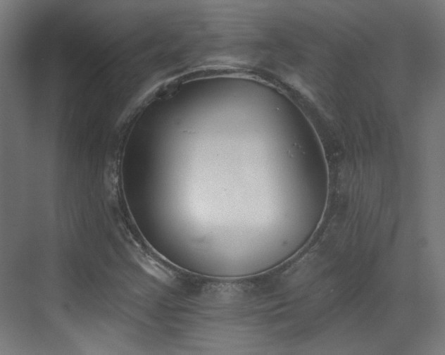 X0000072921355200607211050