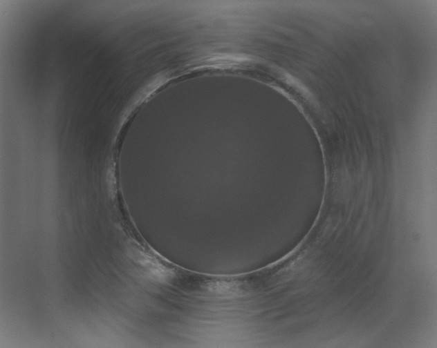X0000072921362200607211050