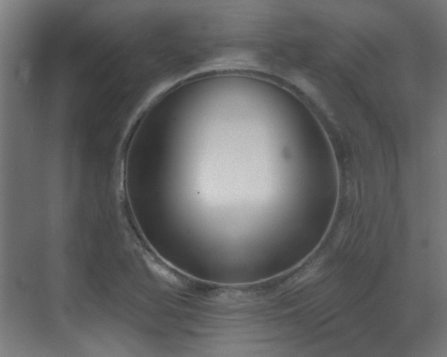 X0000072921366200607211050