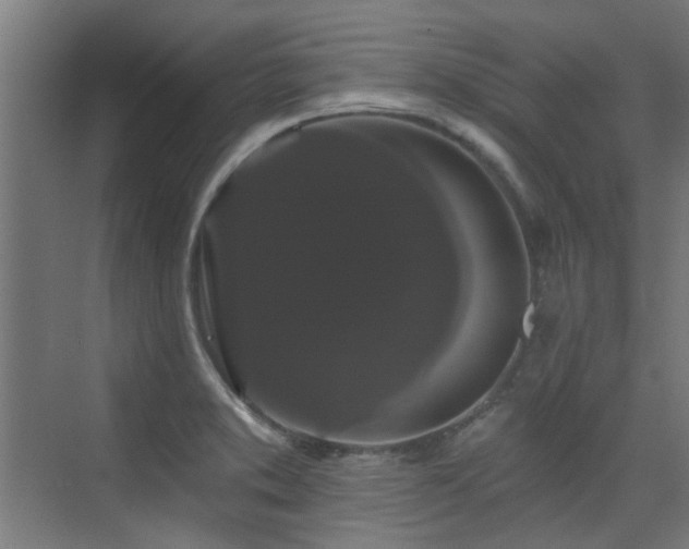 X0000072921373200607211050