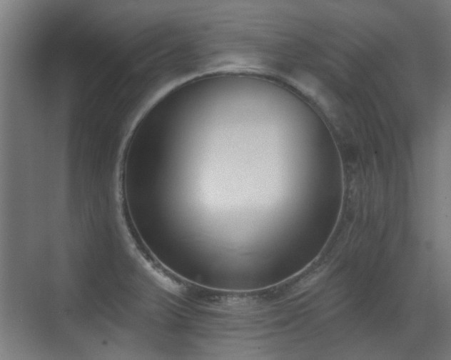 X0000072921375200607211050