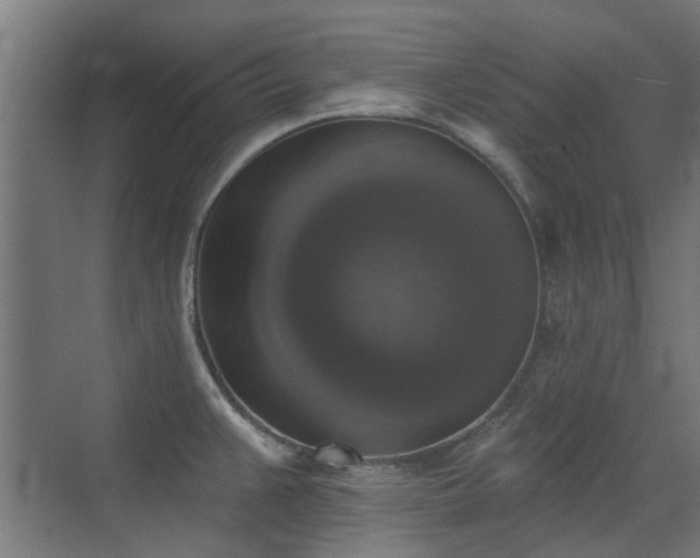 X0000072921383200607211050