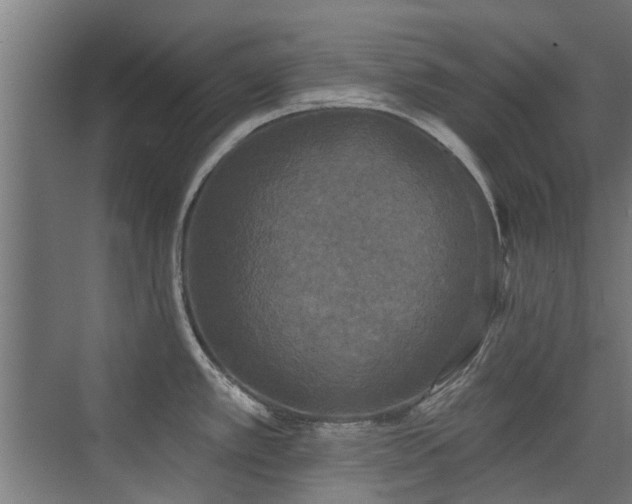 X0000072921389200607211049