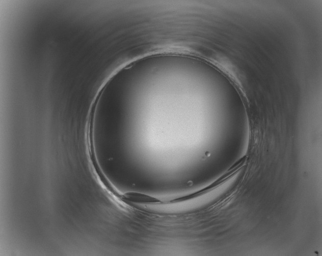 X0000072921391200607211049