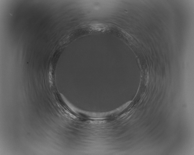 X0000072921394200607211049