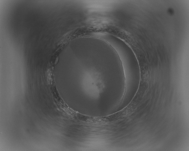 X0000072921397200607211049