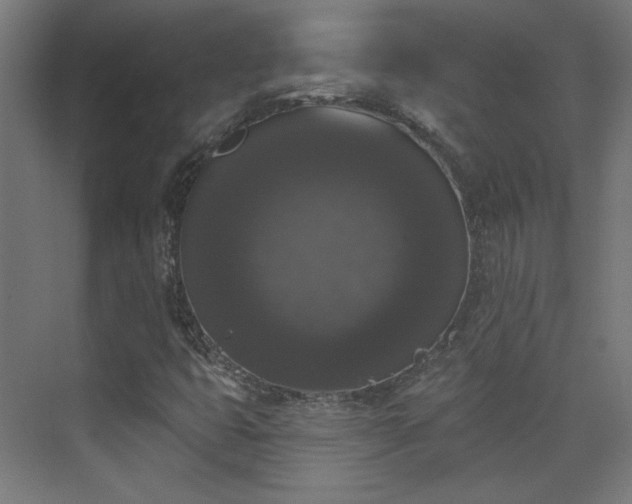 X0000072921399200607211049