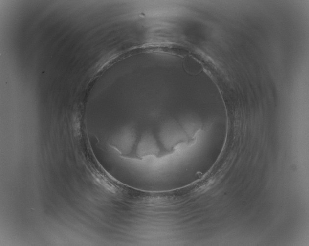 X0000072921401200607211049