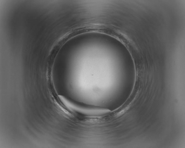 X0000072921402200607211049