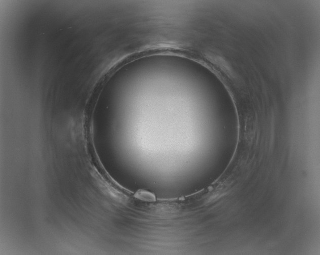 X0000072921404200607211049