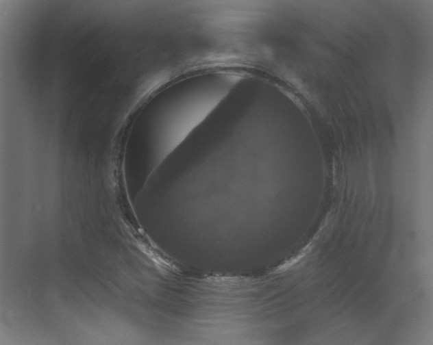X0000072921405200607211049