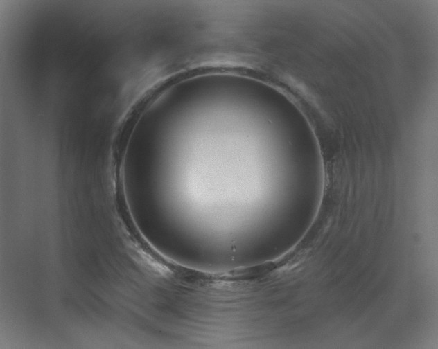 X0000072921408200607211049