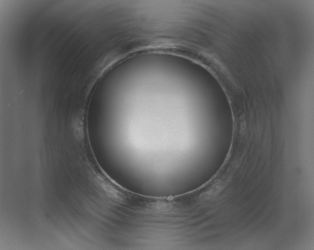 X0000072921409200607211049