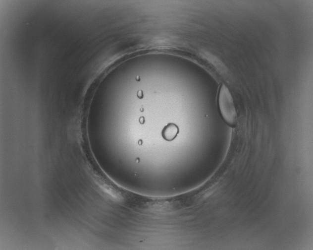 X0000072921410200607211049