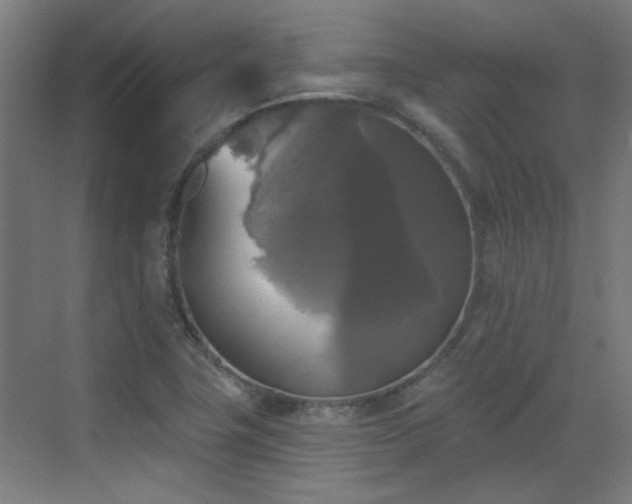 X0000072921411200607211049