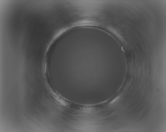 X0000072921413200607211049
