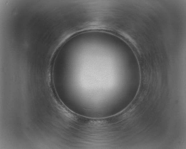 X0000072921415200607211049