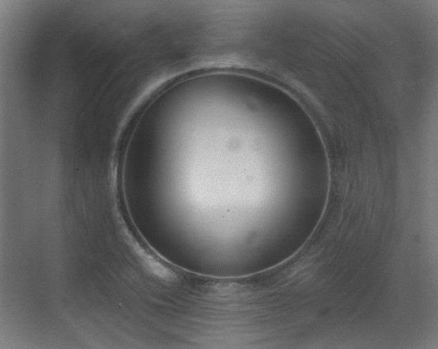 X0000072921416200607211049