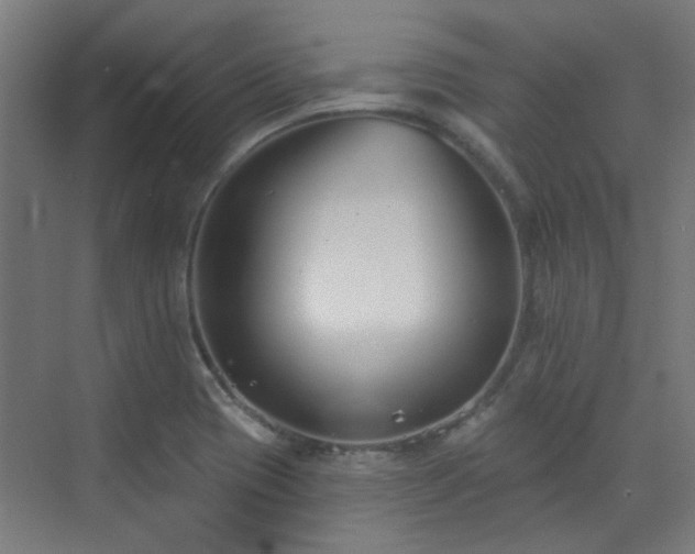 X0000072921417200607211049