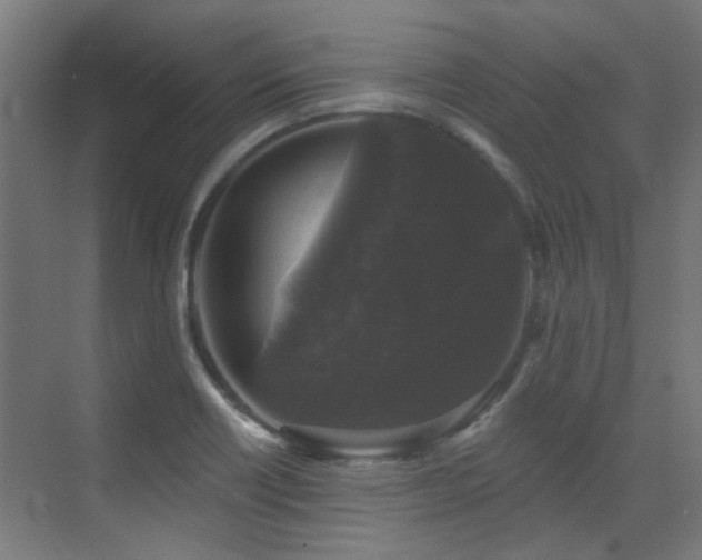 X0000072921418200607211049