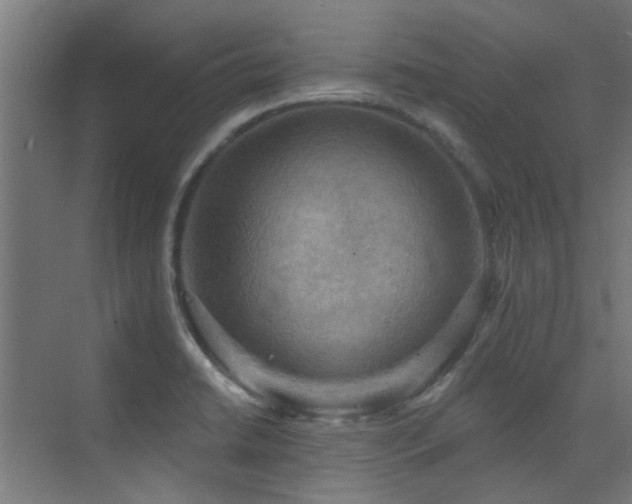 X0000072921422200607211049