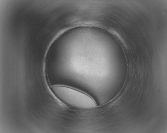 X0000072921424200607211049