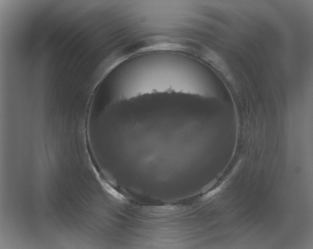 X0000072921425200607211049