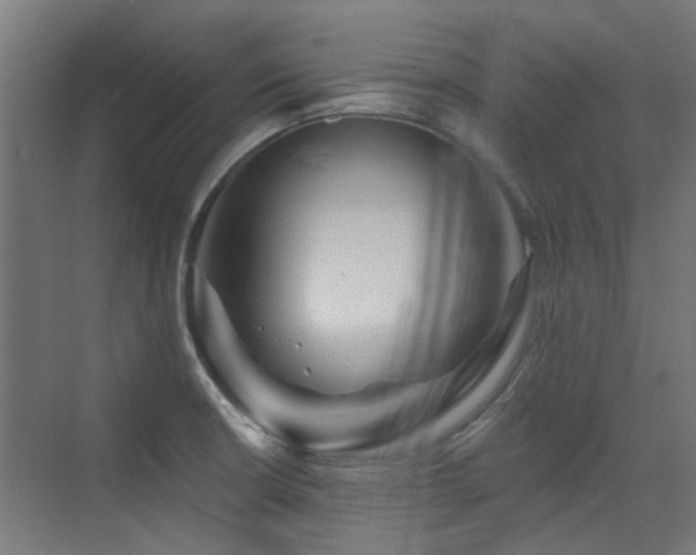 X0000072921426200607211049
