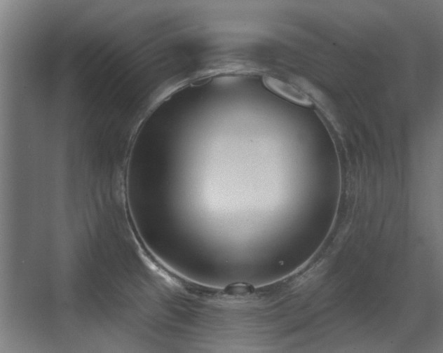 X0000072921433200607211049