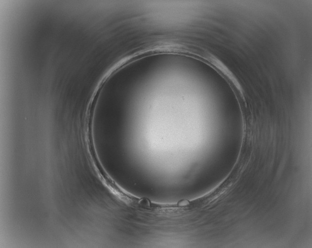 X0000072921437200607211049