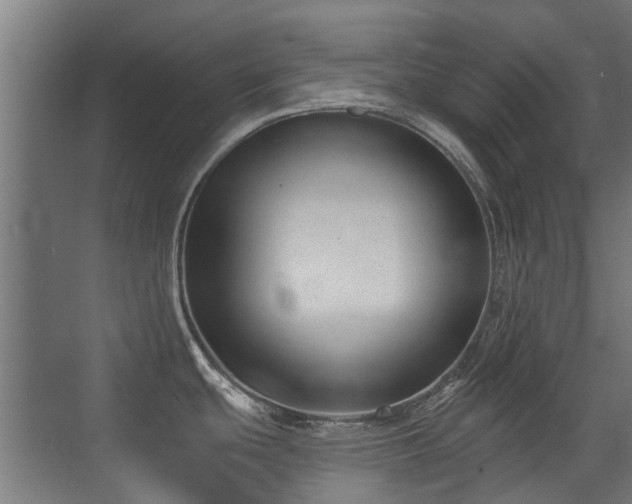 X0000072921439200607211049