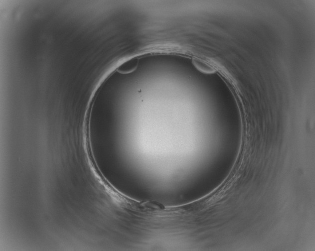 X0000072921440200607211049