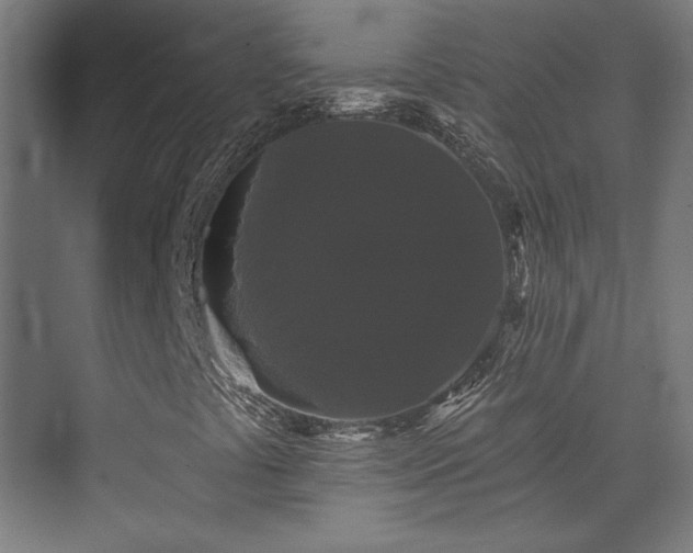 X0000072921441200607211049