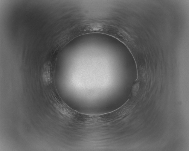 X0000072921442200607211049