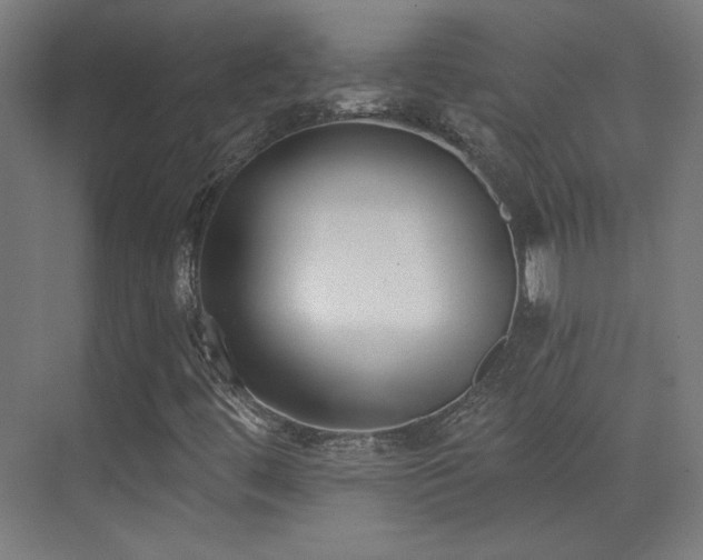 X0000072921444200607211049