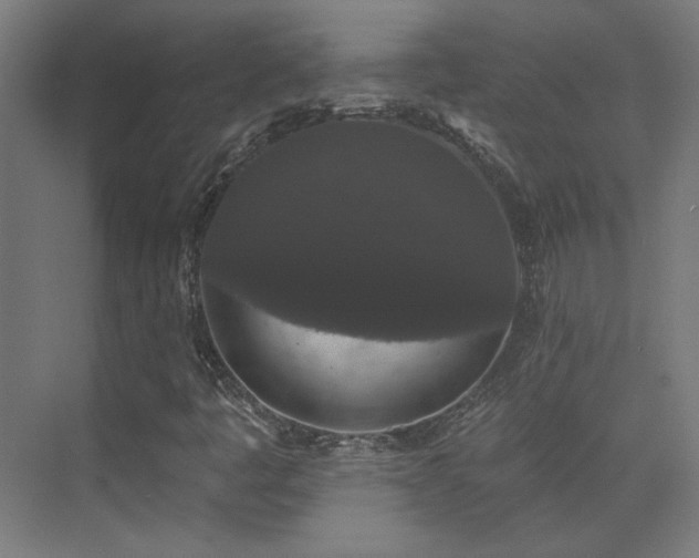 X0000072921445200607211049