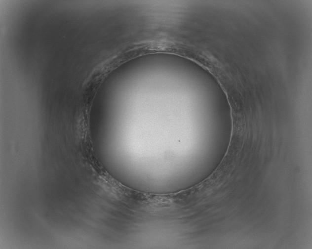 X0000072921446200607211049