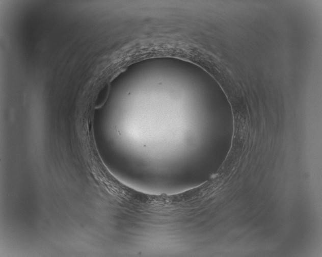 X0000072921489200607211047
