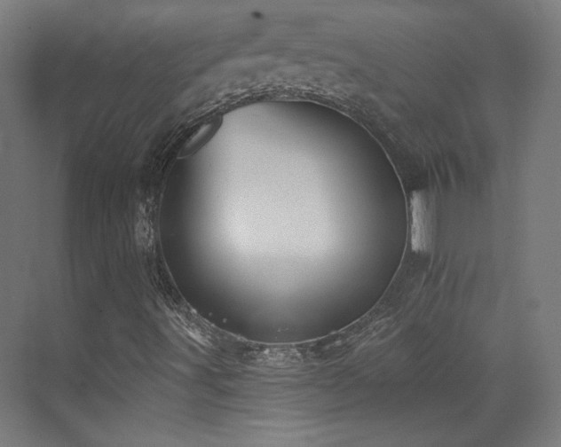 X0000072921491200607211047