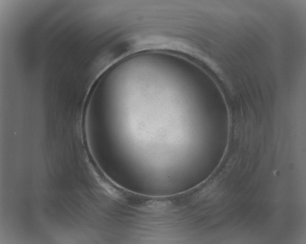 X0000072921513200607211047