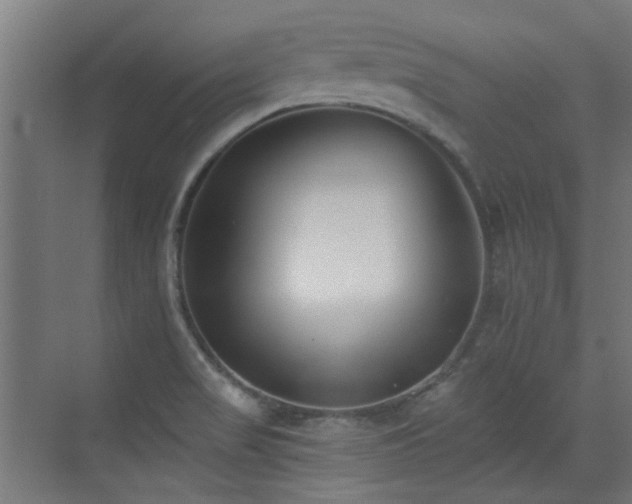 X0000072921517200607211047
