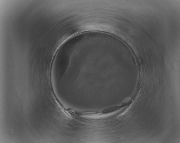 X0000072921529200607211048
