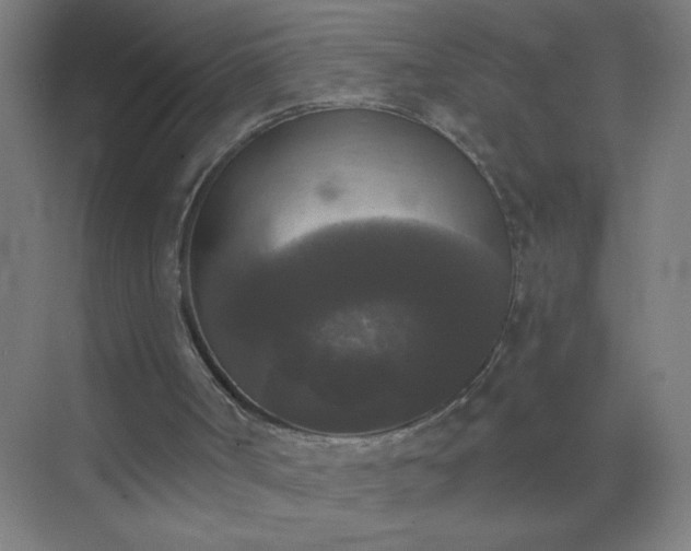 X0000072920002200607282123
