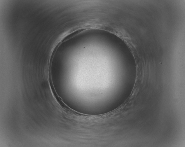 X0000072920003200607282123